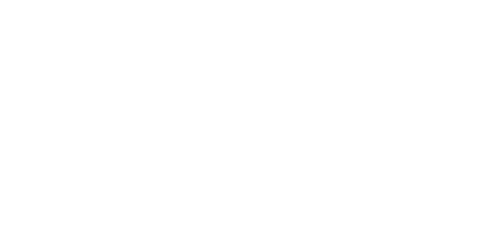 The Spooky Bitch